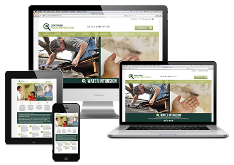 Water and Fire Damage Websites
